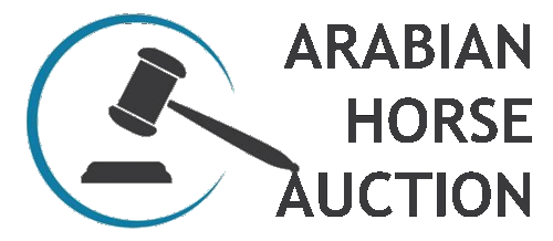 ARABIAN HORSE AUCTION